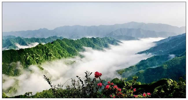 優(yōu)秀獎(jiǎng)  劉養(yǎng)正《山里紅 》